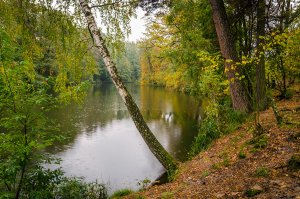 Осінній настрій