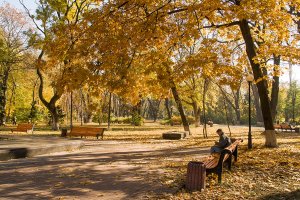 Жовтень в місті