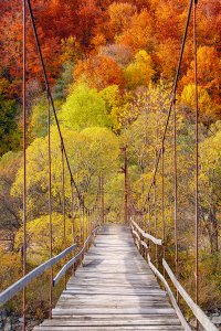 Міст в осінь