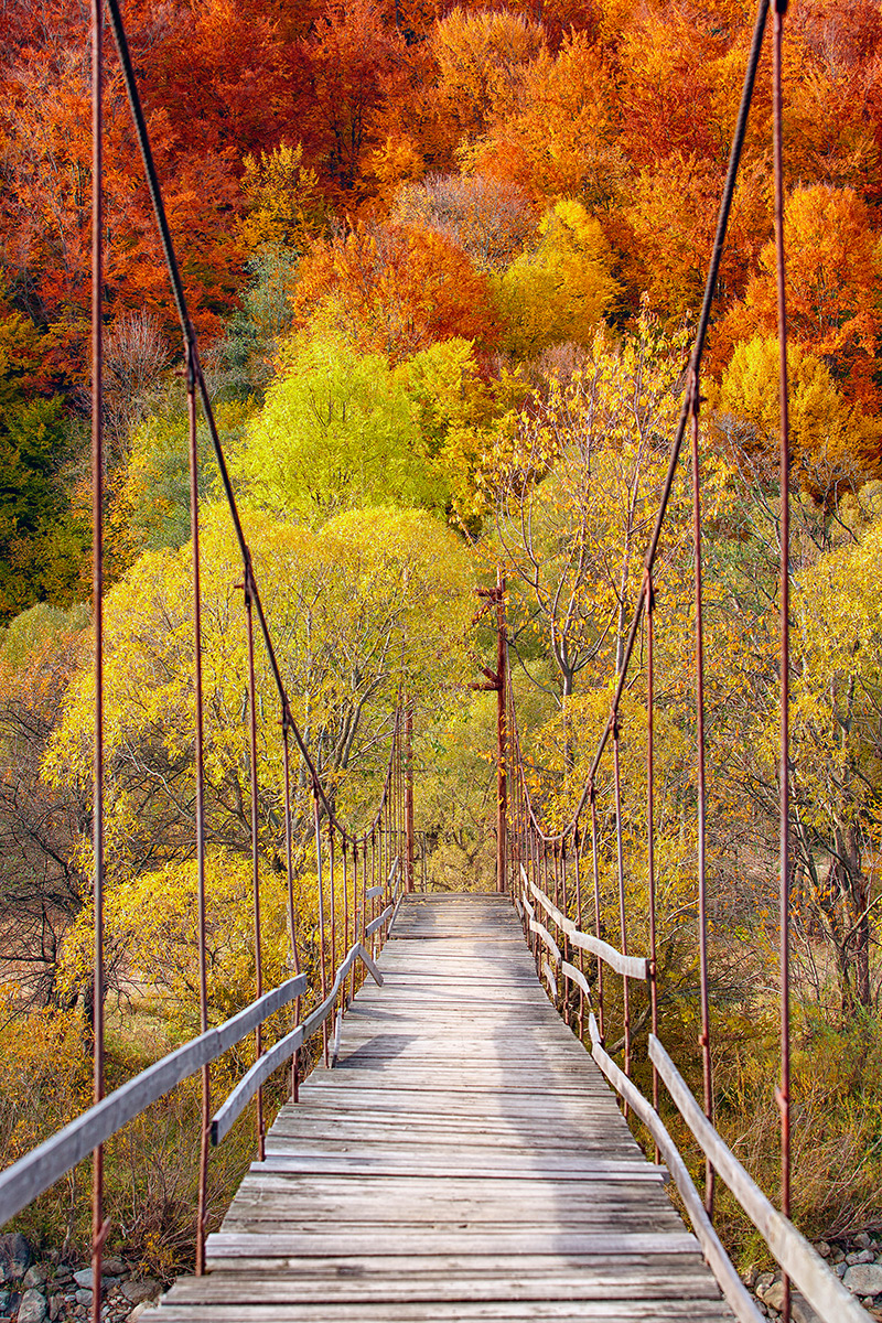 Міст в осінь