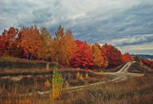 Така різна осінь ч.1