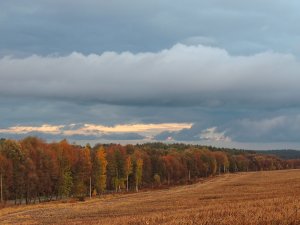 Дорога до осені