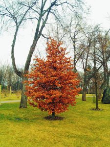 Один в полі не воїн, а експонат