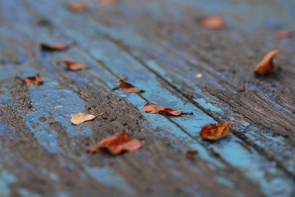 За старий стіл в саду присіла осінь