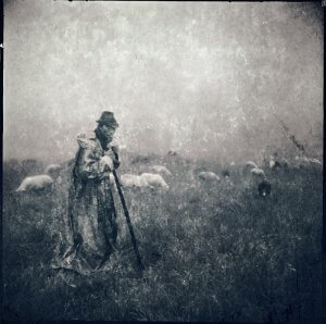 Пастух з вівцями. Автор Роман Михайлюк