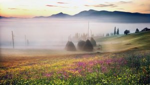Ранковий туман в горах. Фото Романа Михайлюка